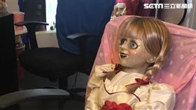 安娜貝爾/臺孝婷攝