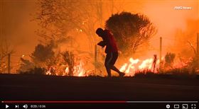 美國,南加州,野火,野兔,英雄,火場（圖／翻攝自ABC7 YouTube
）https://www.youtube.com/watch?v=sFMehG2tDcA