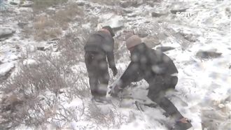 玉山、合歡山一片銀白　民瘋玩砸雪球