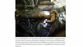 泰國,普吉島,人孔蓋,下水道,屍體(jangkhao http://www.jangkhao.org/p/27175)