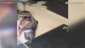 直擊獼猴偷大亨堡！網友全歪樓：原PO聲音萌萌噠