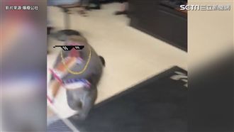 直擊獼猴搶超商　網友歪樓：聲音好萌