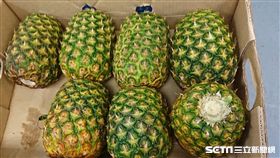 台北市衛生局今（11）天公布寒舍艾美五星級酒店的水果鳳梨被驗出含有殺菌劑超過標準值逾20倍，已令抽驗地點將產品下架不得販售。（圖／台北市衛生局提供）