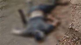 圖／翻攝自微博