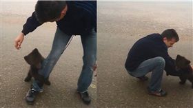 熊,黑熊,撒嬌,熊寶寶　圖／翻攝自臉書