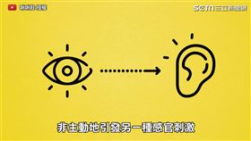 視覺連接聽覺的感官刺激