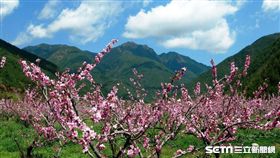 旅遊景點,樂園。