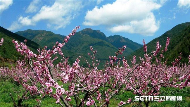 今年十大熱搜　老字號景點、樂園奪冠