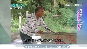 d官夫人踹護1200