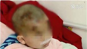 藏獒,咬人,男童,幼童,大陸,四川,德陽,鄰居　圖／翻攝自梨視頻