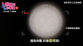 實測自己「子孫」濃度　蔡阿嘎吃完蚵仔果然萬馬奔騰