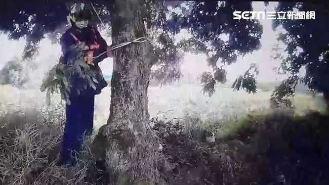 經商欠債又妻離子散　他撞樹幹欲輕生