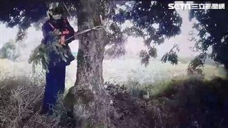 經商欠債又妻離子散　他撞樹幹欲輕生