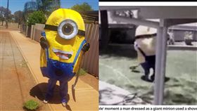  小小兵潛入庭院偷草　竟囂張PO網嘲笑屋主 圖翻攝自每日郵報、臉書Carl Minionhttps://www.facebook.com/profile.php?id=100014511361447&fref=nf