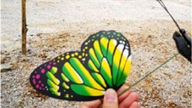 蝴蝶展,大陸,廣西,南寧,塑膠蝴蝶,詐騙,騙局　圖／翻攝自微博