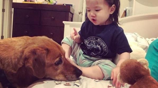 Lucy霸氣伸食指　訓話愛犬萌翻