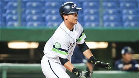 中職聯隊曾陶鎔5局追平安打2分打點。（圖／中職提供）