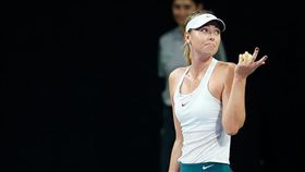 ▲莎拉波娃聳肩回應球迷的求婚。（圖／翻攝自《Daily News》官網）