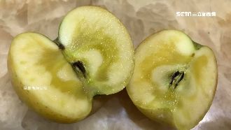 以為變色壞掉了…切開竟是超貴蜜蘋果