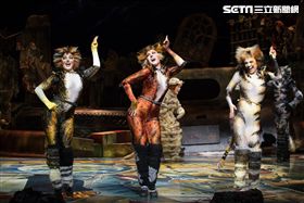 貓 百老匯音樂劇 astro 民歌高峰會 /寬宏藝術提供