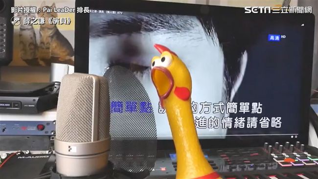 雞都唱比你好聽！慘叫雞變實力派唱將