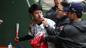 東融遭頭部觸身球。（圖／中職提供）