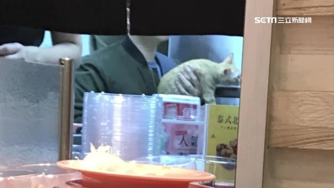 玩貓、醬油長蟲！壽司店衛生頻爆爭議