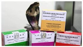 狗狗遭蛇吻有救了！18間獸醫院24小時供應血清