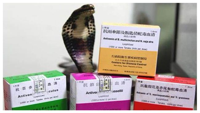 毛小孩遭蛇吻　18醫院全天供應血清
