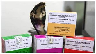 毛小孩遭蛇吻　18醫院全天供應血清