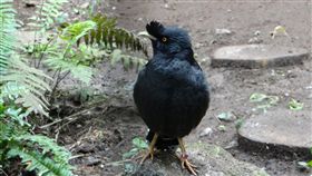 （圖／翻攝自台北市立動物園）