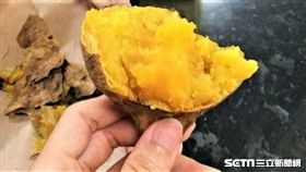 地瓜,養生（圖／記者楊晴雯攝）