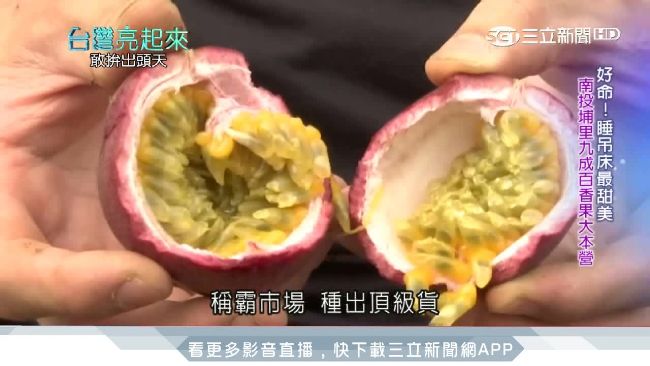 姊弟返鄉務農！翻轉百香果紅到海外