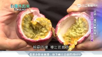 姊弟返鄉務農！翻轉百香果紅到海外