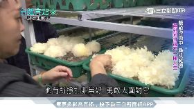 挨撞慘噴飛g1600