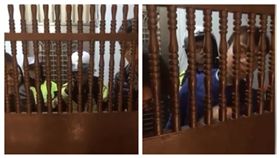 王炳忠遭搜索開直播_王炳忠臉書