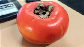 柿子,番茄,室友,笑噴,水果,害怕,Dcard　圖／翻攝自Dcard