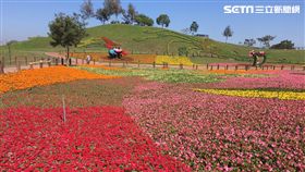 台中國際花毯節。（圖／麗寶樂園提供）