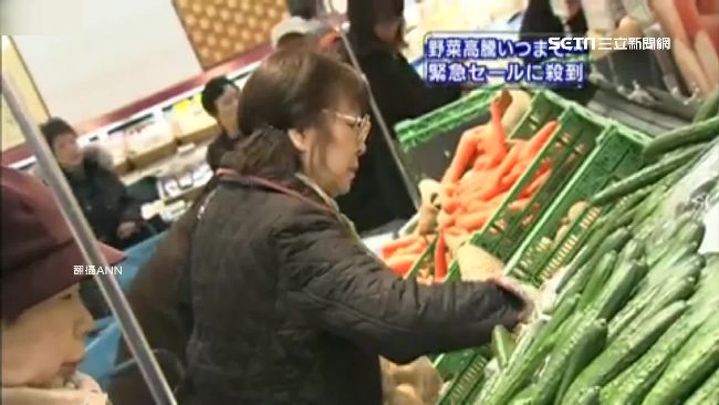 高麗菜14元！日菜價跌破台人眼鏡