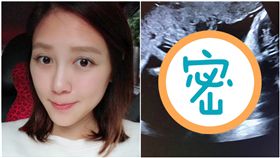 嚴立婷（合成圖/翻攝自臉書）