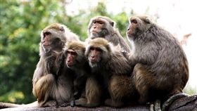 動物園禦寒措施