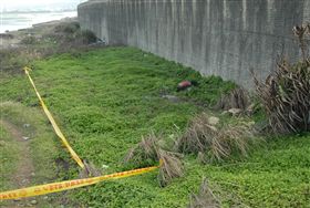 新北市,泰山,明志路二段,停車場,欠債,缺錢,林口,棄屍,殺人棄屍