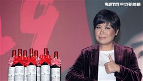 黃小琥2017演唱會「狂」首次攻進台北小巨蛋。（記者邱榮吉/攝影）