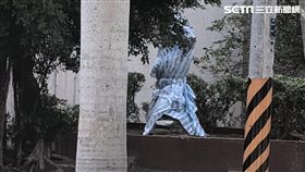 台北市北投區中正高中的蔣公銅像慘遭斬首（翻攝畫面）