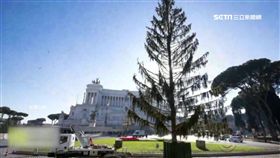 耶誕樹提前陣亡 羅馬人酸:像馬桶刷