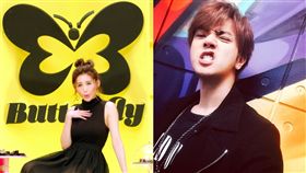 愷樂,黑蝴蝶,Chocolate,椅子舞,羅志祥,娛樂星聞／合成圖