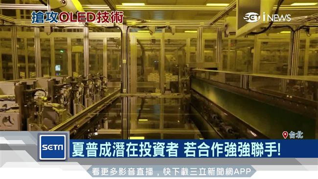 傳JDI尋求陸廠　專攻OLED技術