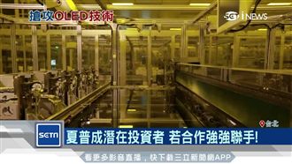 傳JDI尋求陸廠　專攻OLED技術