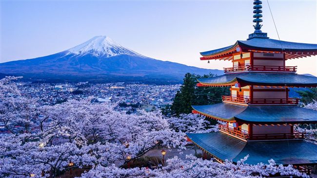 2018日本芝櫻季　到東京郊區追花