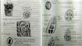 Dcard,筆記,寄生蟲,微生物,手繪,素描,畫畫
（圖／翻攝自Dcard）